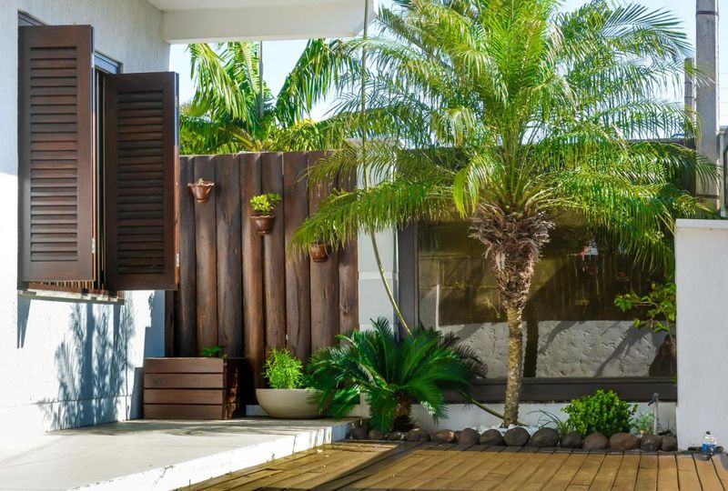 Jardim da pousada com palmeira, deck de madeira e janela com venezianas